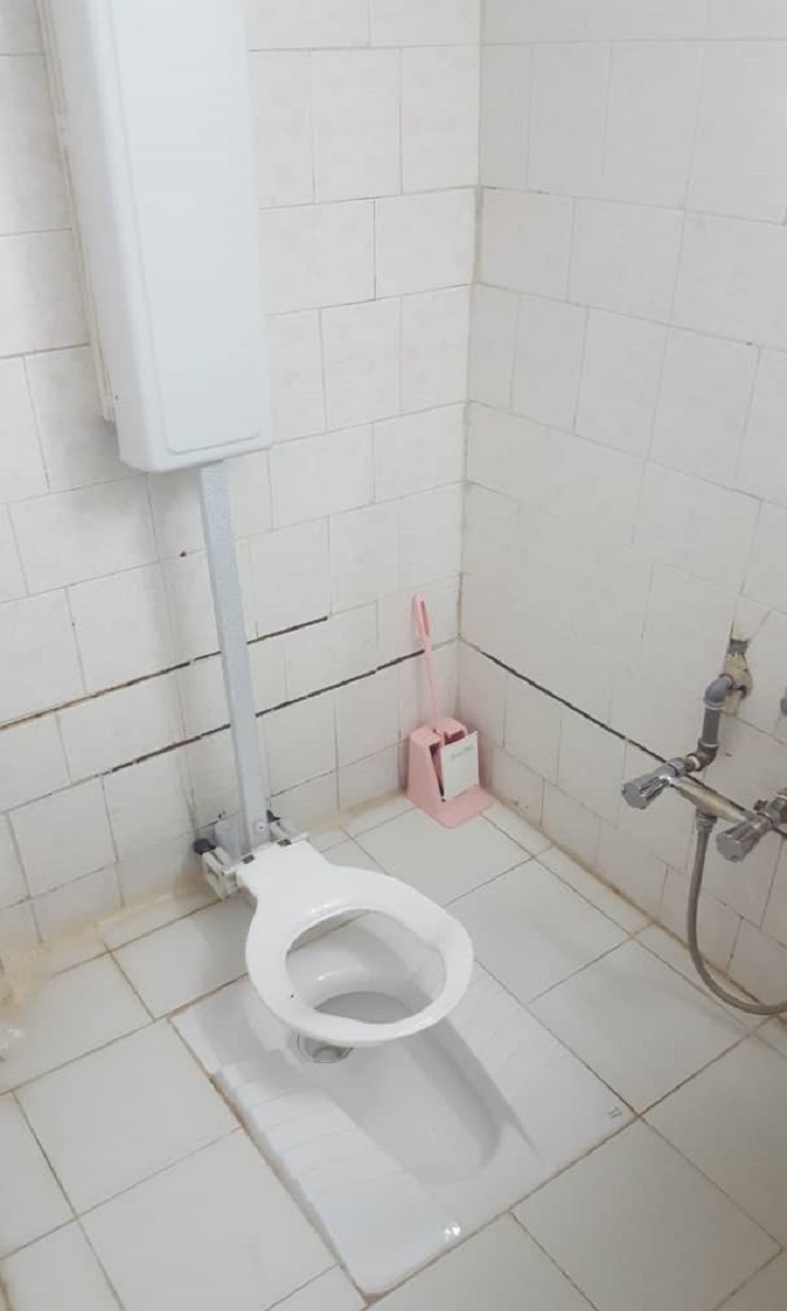 پروژه پانیا